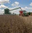 Governo estuda medidas de estímulo para o novo Plano Safra para aumentar a produção de arroz, feijão, milho, trigo e mandioca  Foto: Tiago Queiroz/Estadão / Estadão