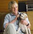 2008 - Owen Wilson intepreta John Grogan com um dos 22 cães que atuaram em 'Marley & Eu' CRÉDITO: 20th Century Fox/Divulgação  Foto: 20th Century Fox/Divulgação / Estadão