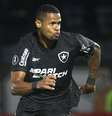 Mais uma vez, Júnior Santos marca pelo Botafogo e garante classificação na Libertadores  Foto: Esporte News Mundo