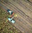 agricultura  Foto: no one cares/ unsplash
