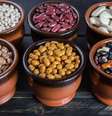 Os feijões se destacam pela riqueza de nutrientes  Foto: barmalini | Shutterstock / Portal EdiCase