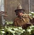 Miriam Margolyes como a Pomona Sprout de Harry Potter  Foto: Canaltech