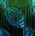 Técnica de CRISPR pode desativar e curar o HIV, mostra estudo promissor   Foto: Pete Linforth por Pixabay / Flipar