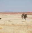 Mudanças climáticas colocaram em risco os humanos antigos e fez com que migaressem para fora da África (Imagem: Galyna_Andrushko/envato)  Foto: Canaltech