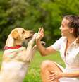 Educar os cachorros ajuda no desenvolvimento deles  Foto: sergey kolesnikov | Shutterstock / Portal EdiCase