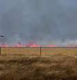 Incêndio florestal pode ser visto, levemente desfocado pelas ondas de calor, depois de ter sido fustigado por ventos fortes em Pampa, Texas 02/03/2024  Foto: REUTERS/Leah Millis
