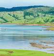 Imagem de um lago que está passando por assoreamento.  Foto: vbacarin / iStock