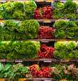 Atlas dos Sistemas Alimentares discute fome e insegurança alimentar na América do Sul  Foto: Canva / Perfil Brasil