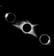 Eclipse solar modifica temporariamente o comportamento dos animais (Imagem: Ian Parker/Unsplash)  Foto: Canaltech