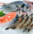Frutos do mar no gelo  Foto: iStock
