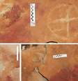( D ) e ( F ) mostram pegadas próximas a pinturas rupestres. Barras de escala = 10 cm.  Foto: Troiano et al., Scientific Reports 2024