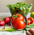 Agrotóxicos aumentam risco de câncer e outras doenças  Foto: Shutterstock / Alto Astral