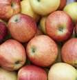 Veja quais frutas são mais indicadas!  Foto: Freepik/Divulgação / Boa Forma