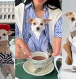  Foto: Reprodução/Instagram/@baothechi