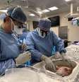 Antes de fechar a caixa, cirurgiões ajustam fígado no sistema que vai mantê-lo vivo fora do corpo (Imagem: Divulgação/Northwestern Medicine)  Foto: Canaltech