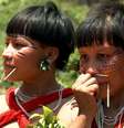 Em 9 comunidades Yanomami, 94% dos indígenas têm contaminação por mercúrio  Foto: Reprodução/ EBC/TV BRASIL / Perfil Brasil