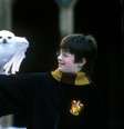 Daniel Radcliffe em cena de 'Harry Potter e a Pedra Filosofal'.  Foto: Warner Bros./Divulgação / Estadão