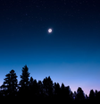 Pode esfriar até 5,6 ºC durante eclipses solares(Imagem: Reprodução/Steven Coffey/Unsplash)  Foto: Canaltech