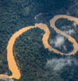Forças Armadas combatem garimpo na Terra Indígena Yanomami  Foto: Fernando Frazão/Agência Brasil