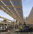 Cidade francesa transforma cemitério em jardim de energia solar  Foto: Divulgação