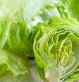 Veja truques para manter a alface fresca  Foto: Shutterstock / Alto Astral