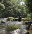 Parque das Neblinas   Foto: Eduardo Vessoni / Viagem em Pauta