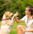 Existem diferentes tipos de tutores de animais de estimação  Foto: sergey kolesnikov | Shutterstock / Portal EdiCase