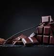 Chocolate na dieta  Foto: Shutterstock / Sport Life