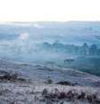 Geada na Serra Catarinense registrada em 2020; previsão é de que região tenha queda drástica nas temperaturas nos próximos dias  Foto: Estadão Conteúdo