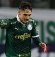 Palmeiras x Internacional   Foto: Cesar Greco / @palmeiras / RD1