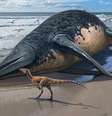 Ilustração de réptil marinho gigante   Foto: SERGEY KRASOVSKIY / BBC News Brasil