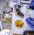 Cientista analisa uma amostra de uma lata de alimentos enlatados, um dos causadores de infecção por botulismo em pessoas doentes  Foto: digicomphoto/iStock