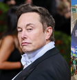 Elon Musk vira bandeira em ato pró-Bolsonaro no Rio  Foto: Reprodução/Terra