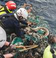 Organização holandesa já removeu 10 mil toneladas de mares e rios  Foto: Divulgação/The Ocean Cleanup