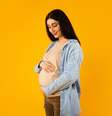 Grávidas devem redobrar os cuidados com a saúde durante a epidemia de dengue  Foto: Pixel-Shot | Shutterstock / Portal EdiCase