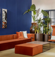 1. Parede azul royal + sofá terracota + plantas – Projeto: Zanardo Paisagismo | Foto: Jp Image  Foto: Viva Decora