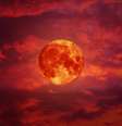 É a Lua mais poderosa do ano  Foto: Shutterstock / João Bidu