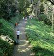 Atualmente, a cidade do Rio tem dois parques concedidos à iniciativa privada  Foto: Divulgação/Prefeitura do Rio