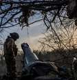 Soldado com armamento de artilharia no meio da mata  Foto: GETTY IMAGES / BBC News Brasil