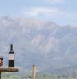 Entenda a diferença entre Reserva e Reservados, presentes em algumas garrafas de vinho  Foto: iStock