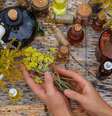 Algumas plantas ajudam a prevenir certas doenças  Foto: Shutterstock / Alto Astral