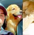 Tutor de cachorro que morreu em avião da Gol fala sobre o caso.  Foto: Reprodução, Instagram / Purepeople