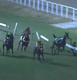 Jóquei é internado em estado gravíssimo após cair de cavalo durante páreo no RJ  Foto: Reprodução/TV Turfe/JCB