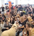 Ato em protesto pela morte do cão Joca em Brasília   Foto: X @reporterenato