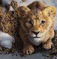 Filme mostrará como Mufasa se transformará no Rei Leão que conhecemos — e mostrando que Scar era realmente o verdadeiro herdeiro do trono (Imagem: Divulgação/Disney)  Foto: Canaltech