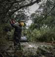  Foto: Rodger Timm/EPTC / Porto Alegre 24 horas