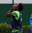 (  Foto: Cesar Greco - Palmeiras / Esporte News Mundo