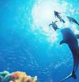 Endless Ocean Luminous é divertido mergulho no Nintendo Switch  Foto: Reprodução / Nintendo