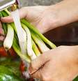 Saber como lavar vegetais bem é muito importante  Foto: Shutterstock / Alto Astral