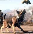 Entenda a origem do cão mais famoso de Fallout  Foto: TheGamer / Reprodução